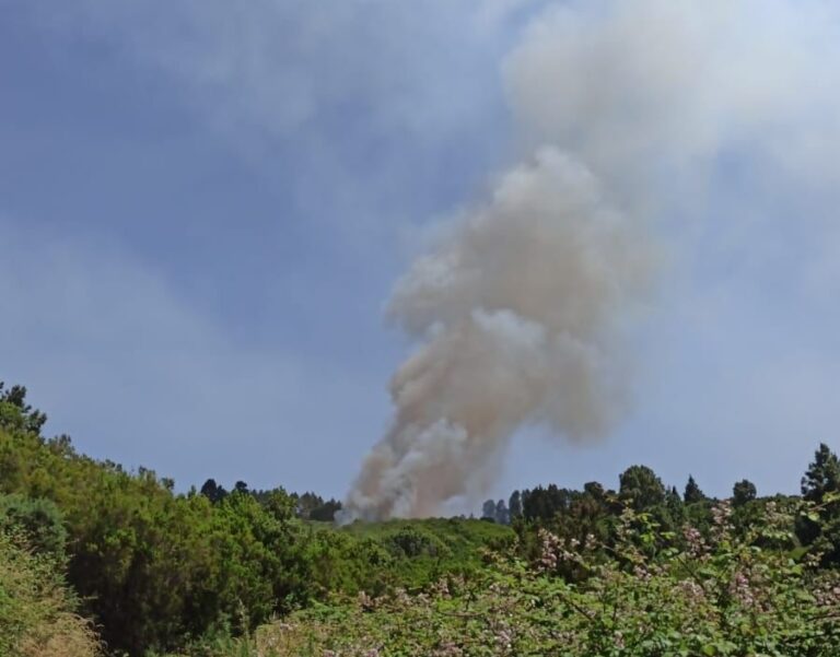 El conato declarado en Los Realejos queda controlado