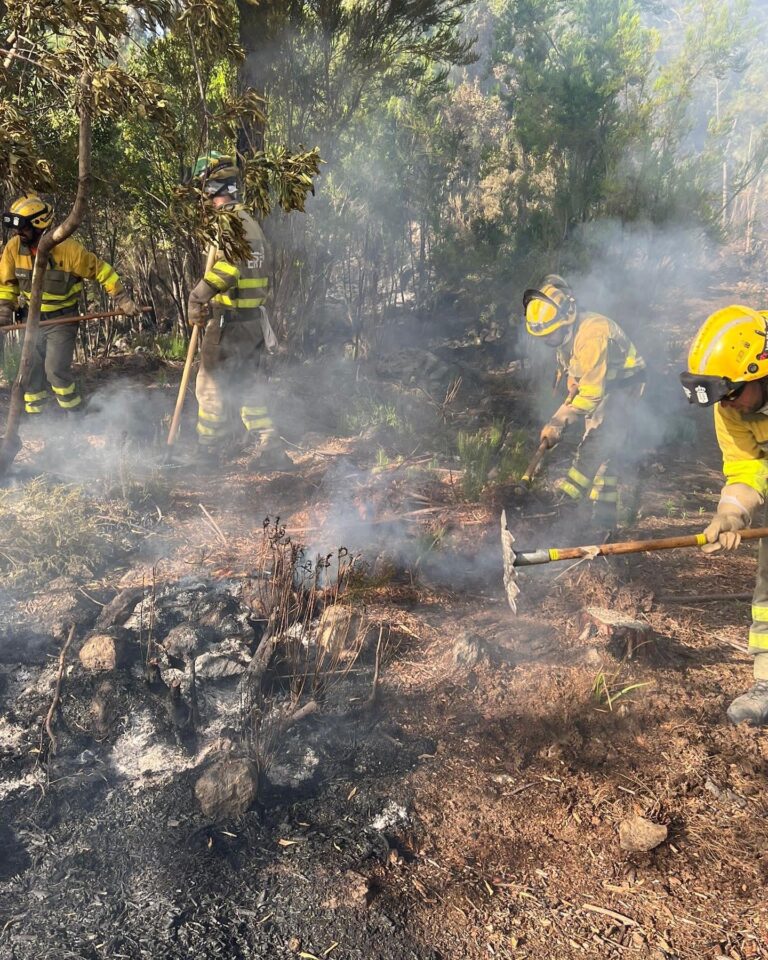 El Gobierno quiere extender a Tenerife y Gran Canaria los equipos de Eirif