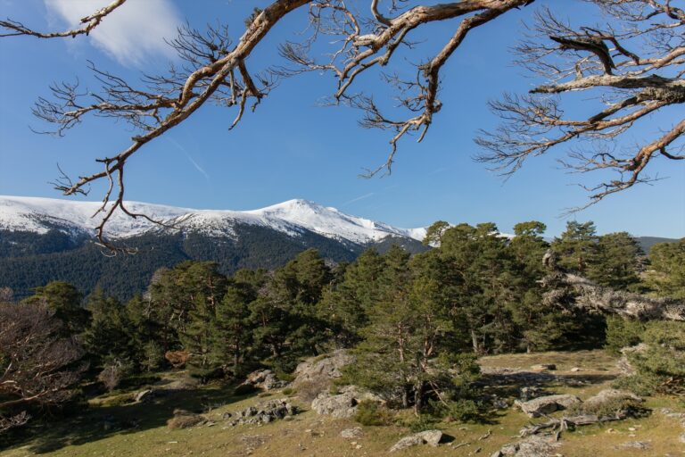 La ONU otorga el derecho al medio ambiente sano, el carácter de derecho humano universal
