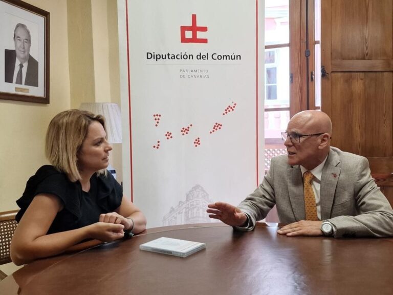 La Diputación del Común entrega sus propuestas sobre la situación de dependencia