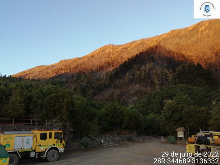 El incendio de Tenerife entra en fase de enfriamiento