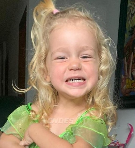 Gobierno de Canarias y Comisionado para impulsar la Energía Sostenible abordan la inversión en estudios de geotermia