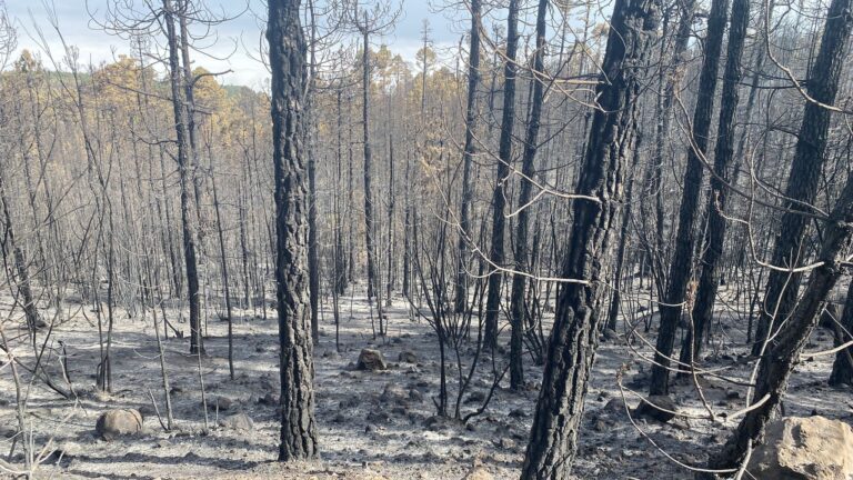 Los vecinos desalojados por el incendio vuelven a sus hogares