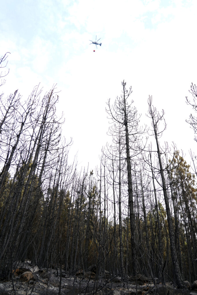 Incendio Tenerife EP