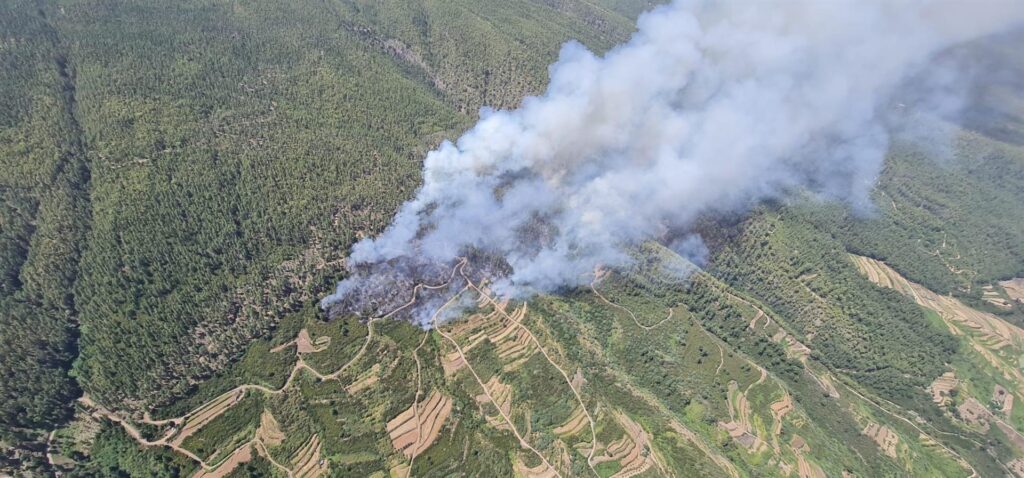 Incendio de Los Realejos