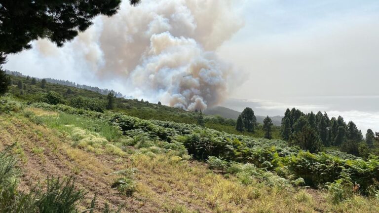 Nuevas evacuaciones preventivas en la zona de La Florida y Palo Blanco en Los Realejos. También en Las Arenitas y de la Cruz del Castaño