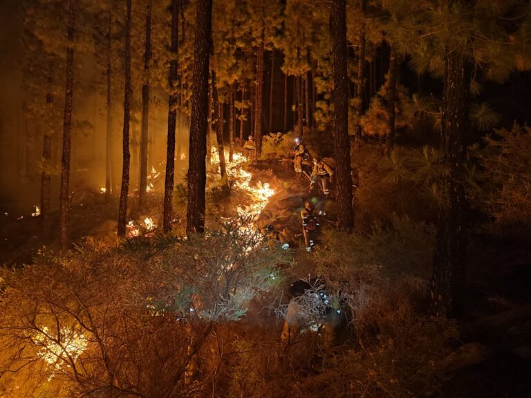 El incendio de Tenerife en imágenes