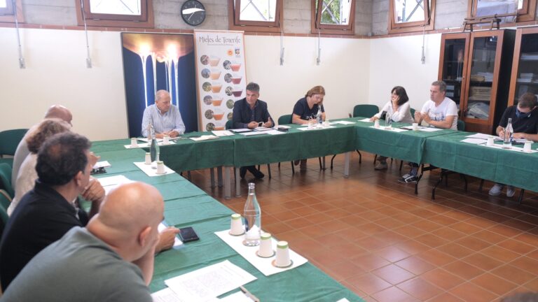 El Teide podría albergar hasta 3.000 colmenas