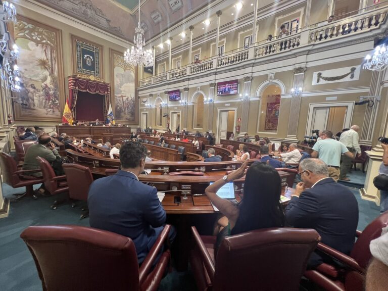 Torres dice que las penas para quienes provocan incendios «deben aumentarse»