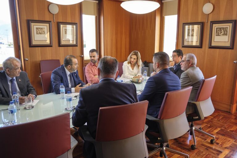 El Cabildo de Tenerife respalda la adaptación del REF a las necesidades de Canarias