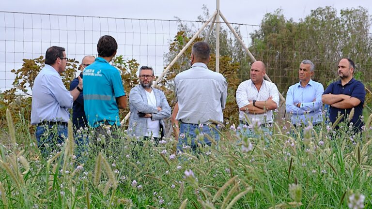 Impulso a la economía circular y lucha contra la desertificación en Fuerteventura