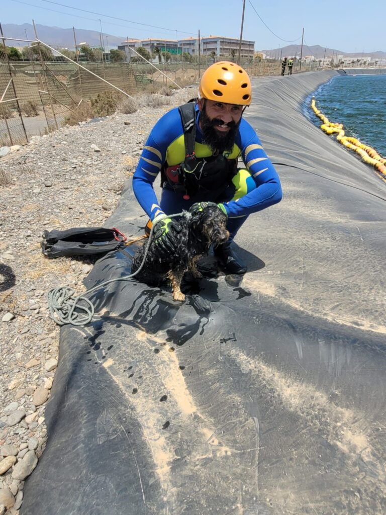 Los bomberos de Gran Canaria rescatan a dos perros en un estanque Santa Lucía