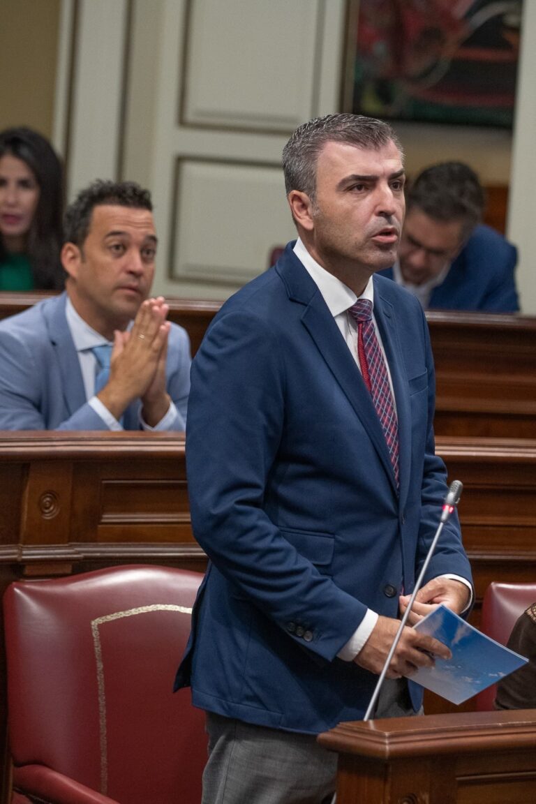 Domínguez asume la portavocía y Australia Navarro pasa a la Mesa