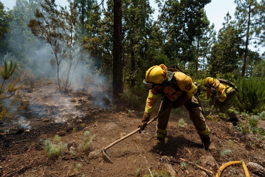 Hay 40 efectivos más y un helicóptero del Cabildo de Gran Canaria a disposición y el hidroavión llegará este sábado por la noche