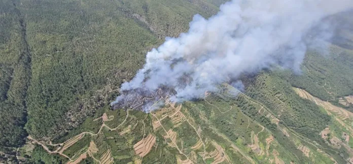 El incendio de Tenerife afecta a 2.753 hectáreas con un perímetro de 34 kilómetros