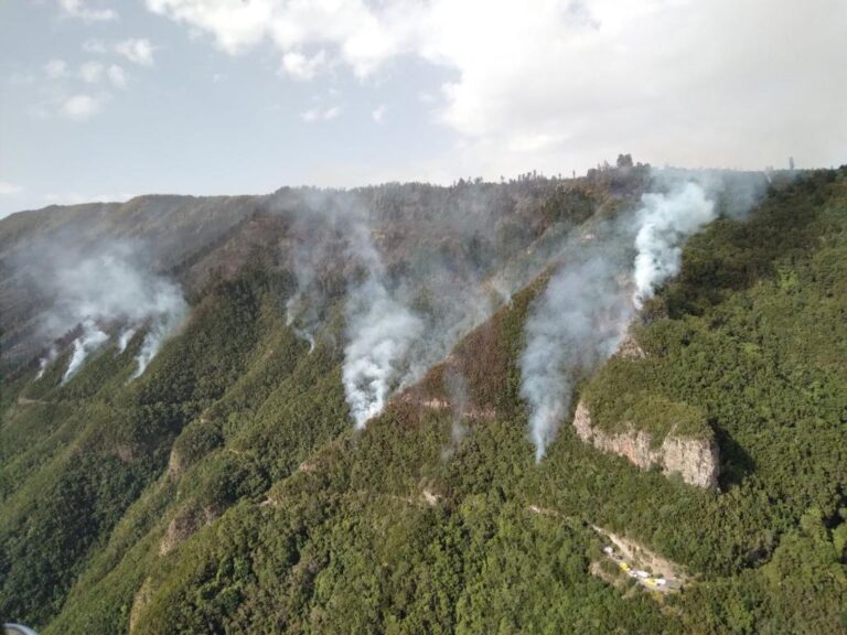 El incendio de Tenerife está estabilizado pero aún no controlado