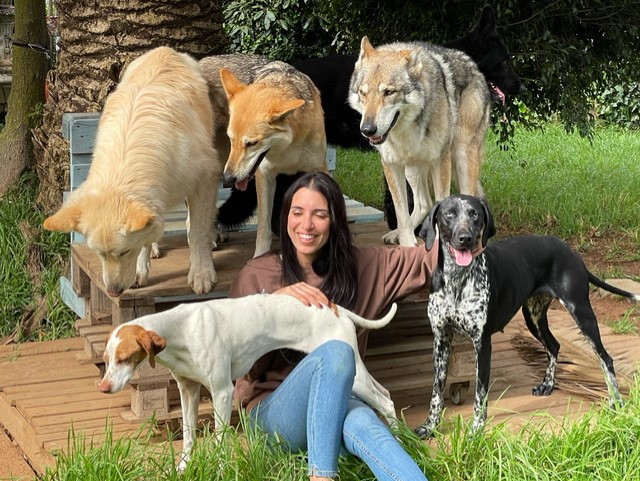 'Noche de reportajes' aborda la Ley de Protección Animal 