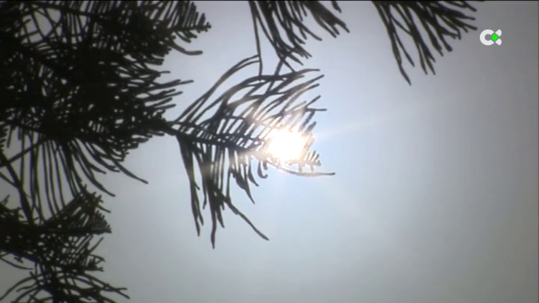 Finaliza la alerta por temperaturas máximas en Canarias