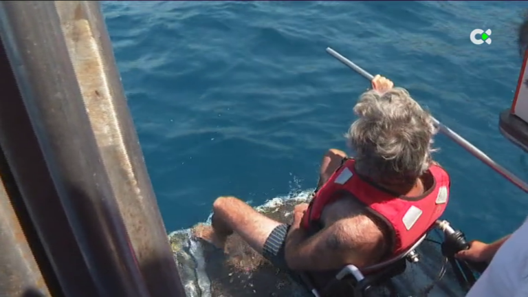 Ofrecen a personas con movilidad reducida conocer Tenerife en barco