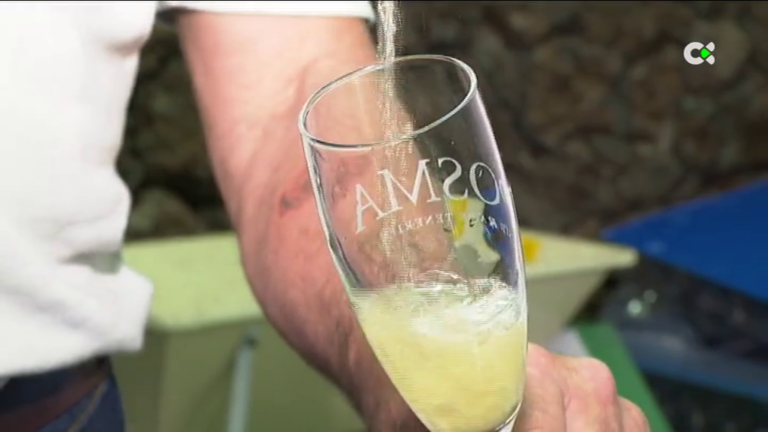 Canarias elabora sidra hasta en nueve bodegas distintas