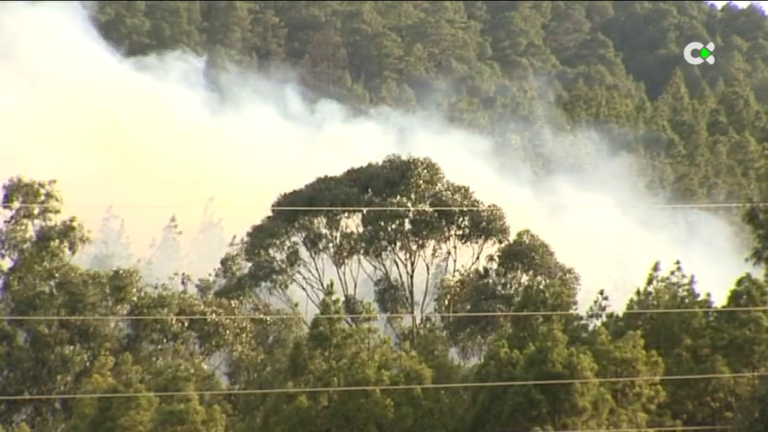 Los fuegos y su nomenclatura: de conato a incendio