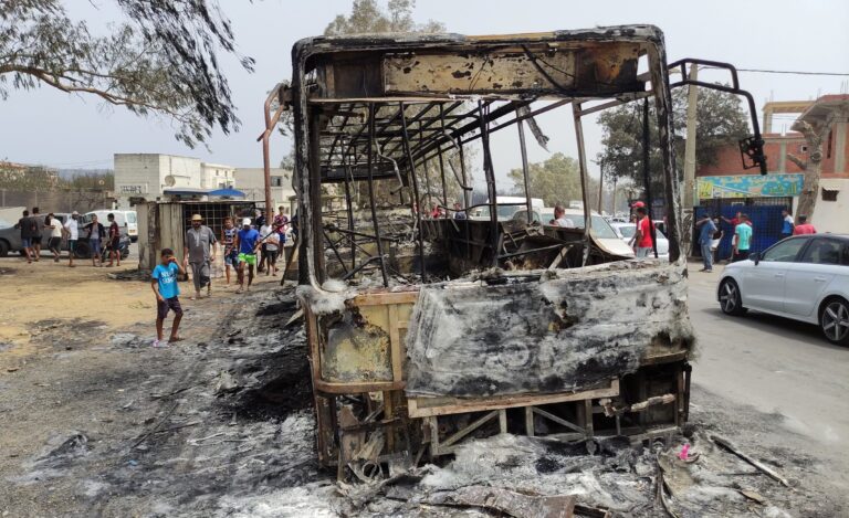 Los incendios forestales en Argelia dejan al menos 38 muertos