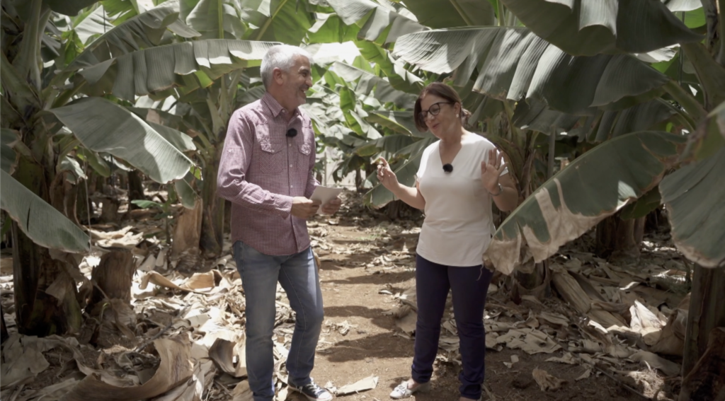 La agricultura llega a 'Territorio REF'