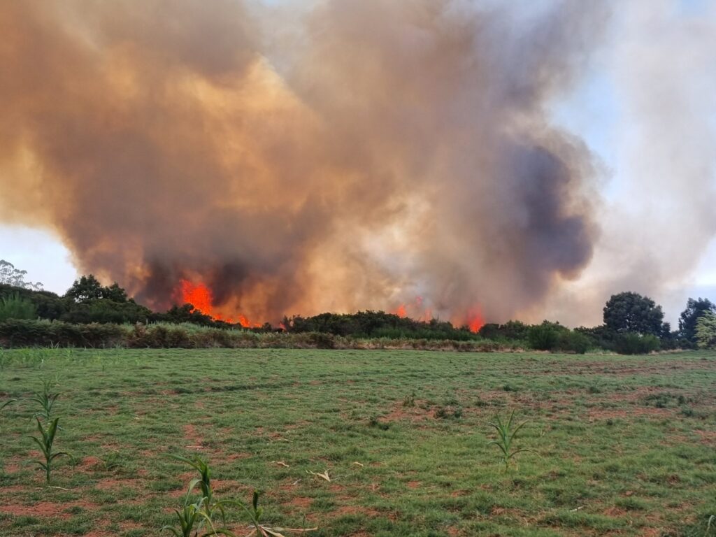 Conato de incendio en el Camino Guillén, en La Laguna
