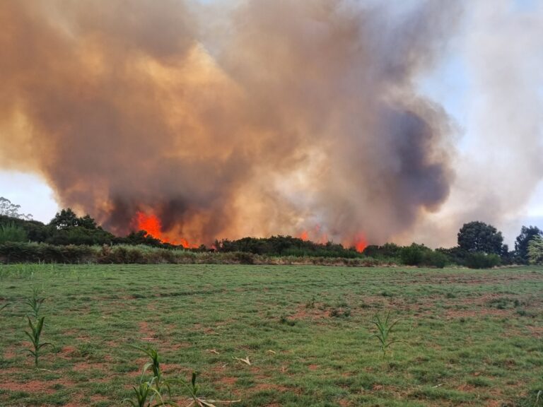 El incendio en La Laguna queda estabilizado y los vecinos vuelven a sus hogares
