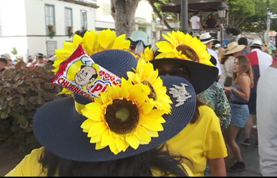 Vuelven las pamelas a Tejina