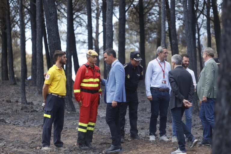 El Gobierno declarará como catastróficas las zonas de los grandes incendios