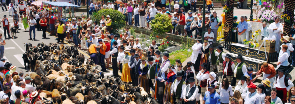 Cientos de romeros participan este domingo en la romería de La Esperanza