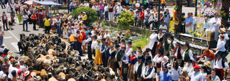 Cientos de romeros participan este domingo en la romería de La Esperanza