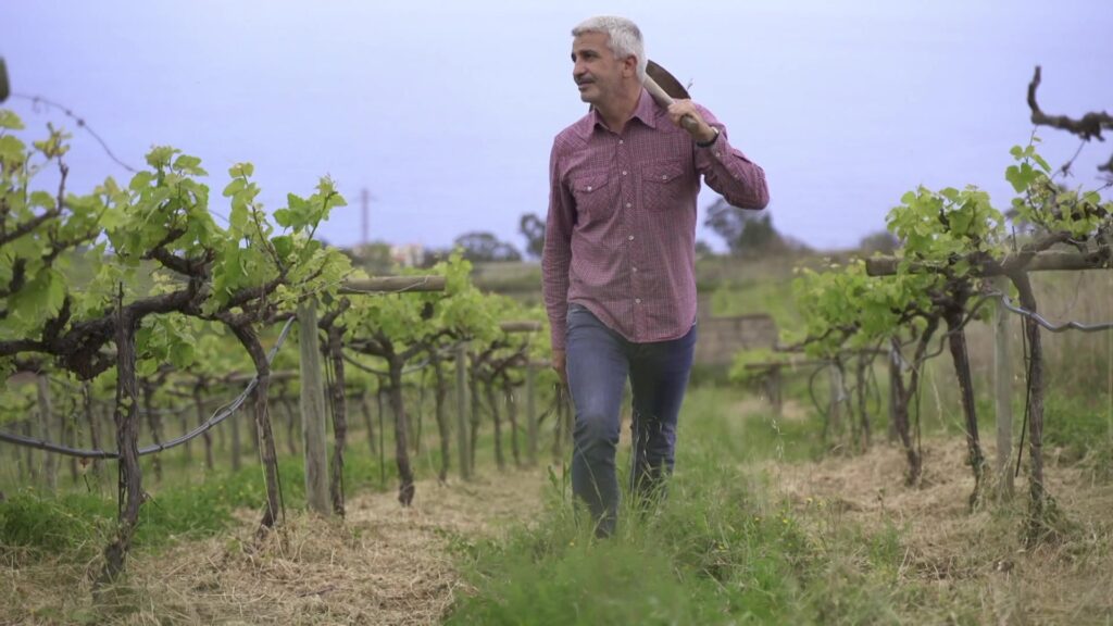 La agricultura llega a 'Territorio REF'