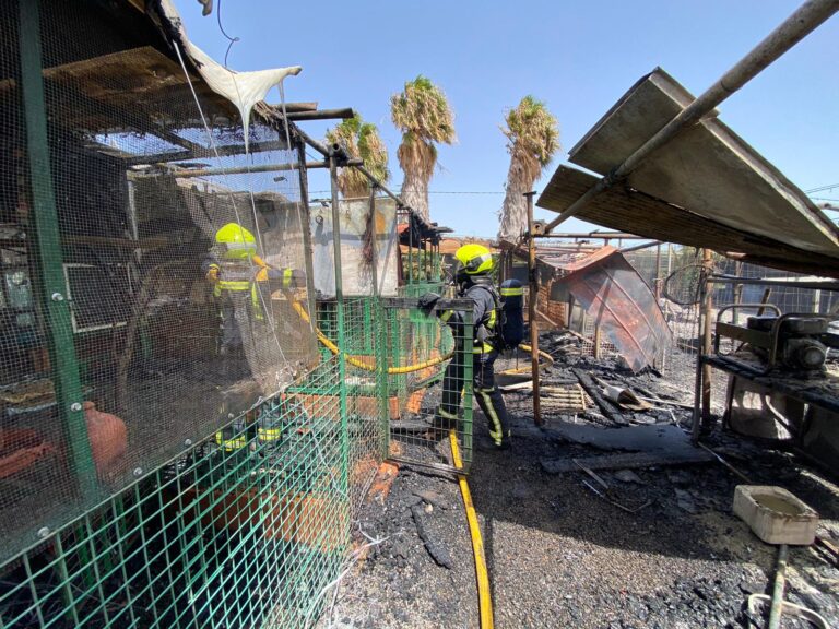 UD Las Palmas golea al Málaga CF (0-4) como visitante