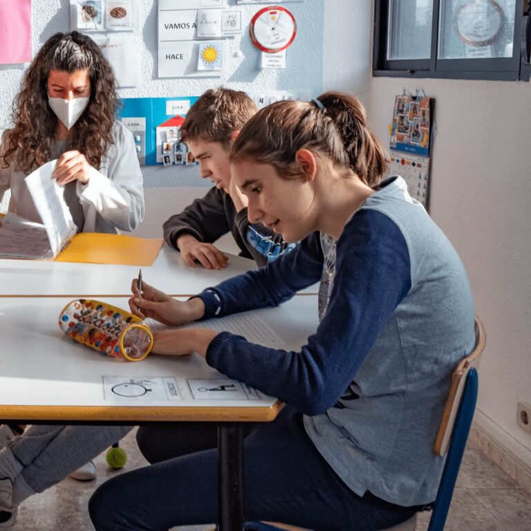 El Gobierno impulsa la creación de un centro piloto de investigación y formación sobre autismo