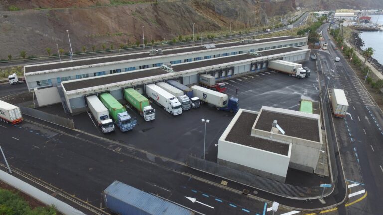 Puertos de Tenerife defienden ampliar la inspección de mercancías a los domingos