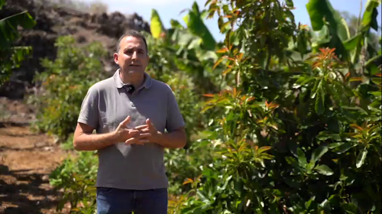 JACOBO RODRÍGUEZ SICILIA