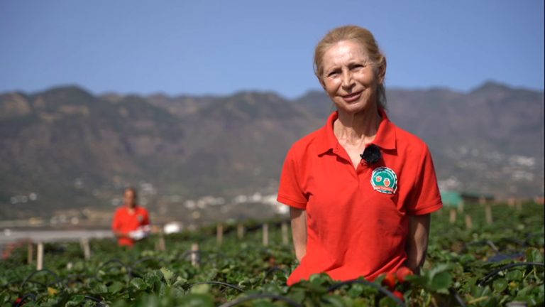 LINA MARTEL HERNÁNDEZ