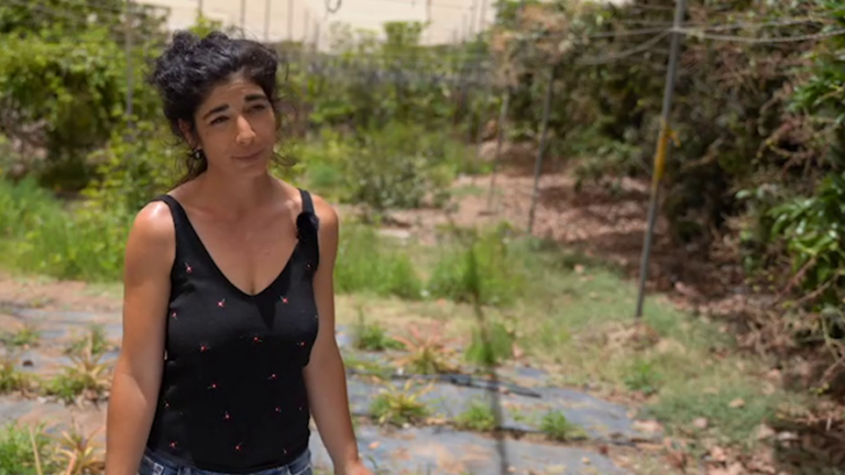 DAVINIA JIMÉNEZ GOPAR 