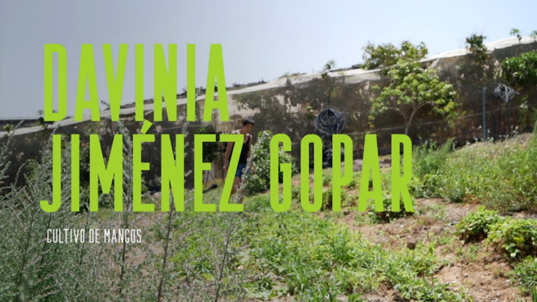 Hasta cinco meses para pasar por quirófano por cáncer de mama