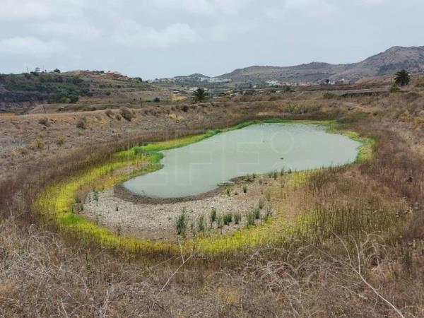 Las Charcas de San Lorenzo, en estado crítico