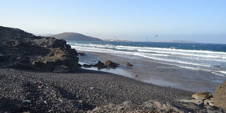 Tres playas oficiales en Gran Canaria para ir con perros