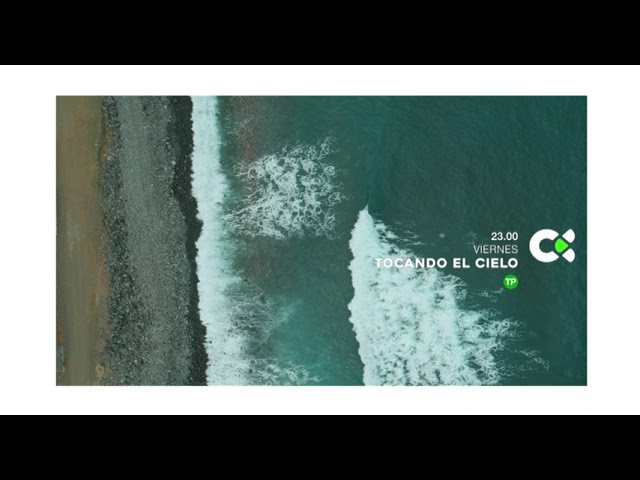 Paisajes isleños y palmeras canarias