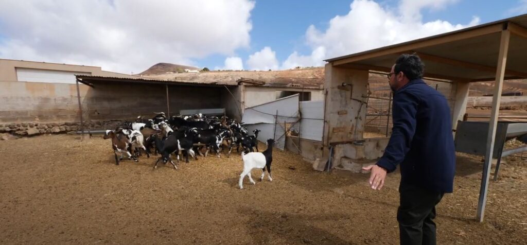'Vidas de Pueblo' organiza una gran fiesta en Tetir, Fuerteventura