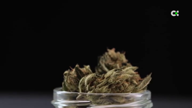 Defraudan millones de euros a inversores de cannabis