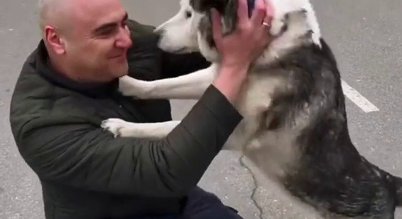 Una perra encuentra a su dueño tras la invasión de Bucha, en Ucrania