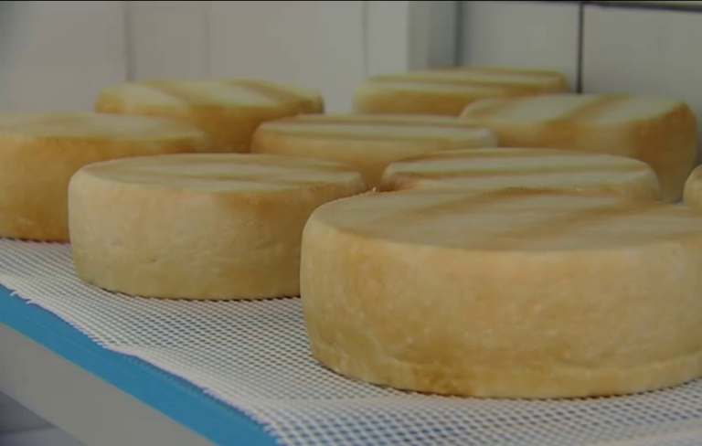 La guerra en Ucrania afecta a los precios de la leche en Canarias