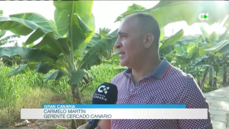 Arucas estrena un centro de divulgación del sector primario