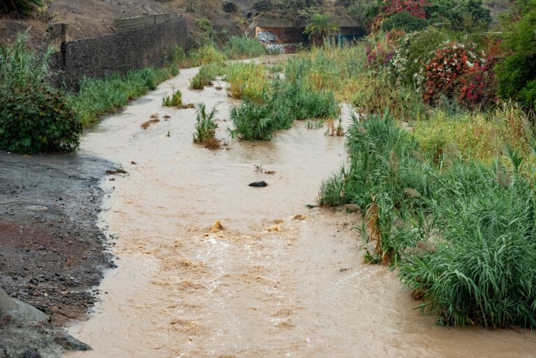 Se cumplen 83 años de la Arrastrada en La Gomera